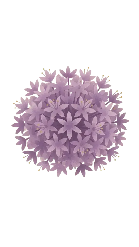 Allium