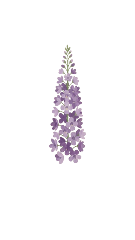 Angelonia