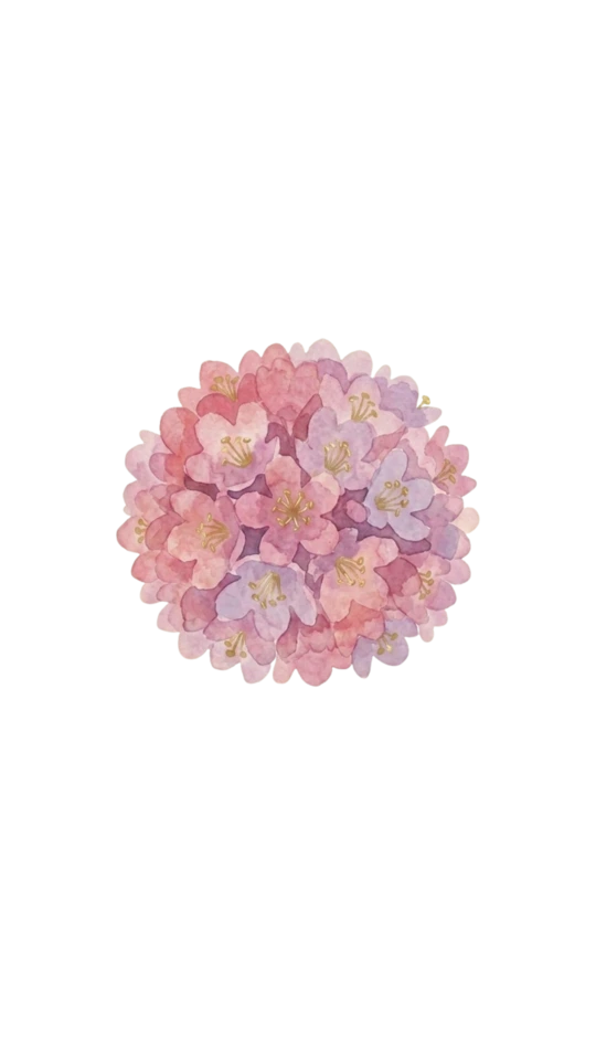 Armeria