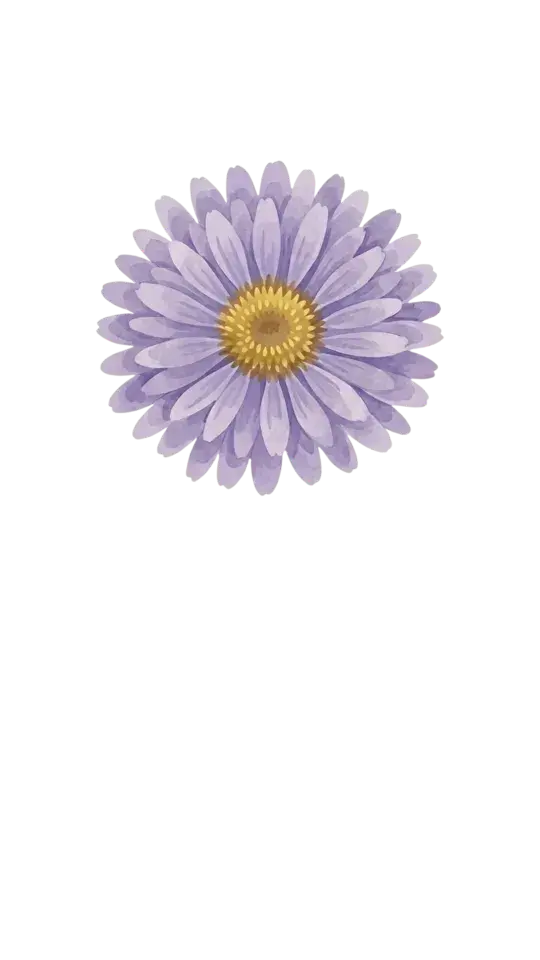 Aster
