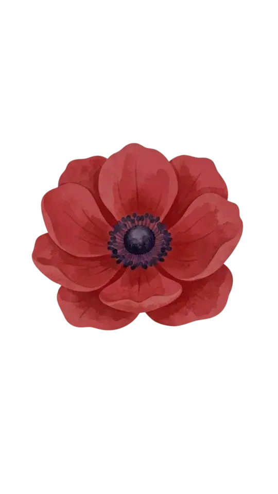 Red Anemone