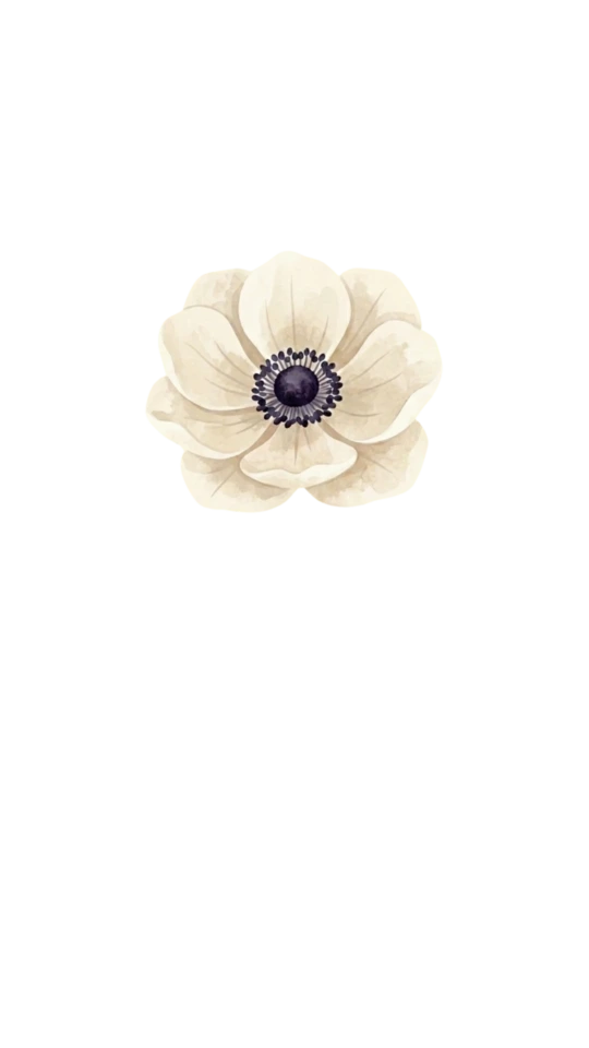 White Anemone
