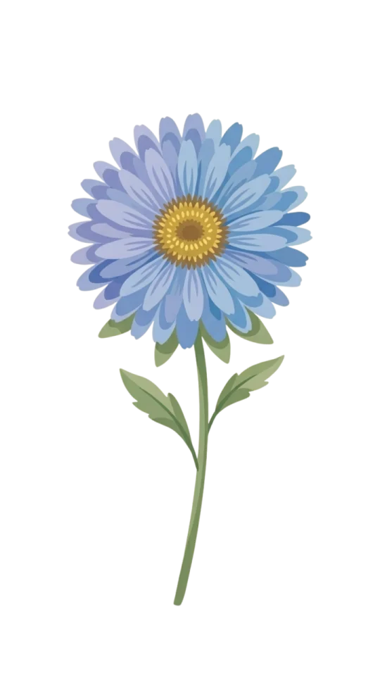 Blue Aster